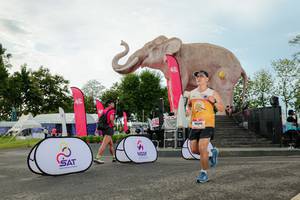 BIB: 
                            <button type="button" onclick="openModal(26529056)" class="btn btn-primary btn-sm float-right btn-popup" data-toggle="modal" data-target=".modal-high-quality">
                        <i class="fas fa-shopping-cart"></i> Add to Cart
                    </button>
                                            <button type="button" onclick="isThisMe(26529056, true)" class="btn btn-success btn-sm float-right btn-popup btn-isme hidden" data-toggle="tooltip" data-placement="bottom" title="นี่คือรูปของคุณใช่ไหม คลิกที่นี่เพื่อเอาเข้าอัลบั้ม">
                        <i class="fas fa-plus"></i> Add to album
                    </button>
                    <button type="button" onclick="isThisMe(26529056, false)" class="btn btn-warning btn-sm float-right btn-popup btn-isnotme hidden">
                        <i class="fas fa-ban"></i> Remove from album
                    </button>